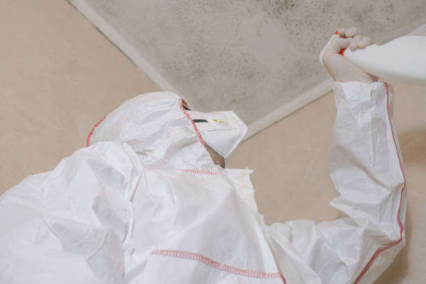 Mold Remediation for Vacation Homes in Kasson, MN